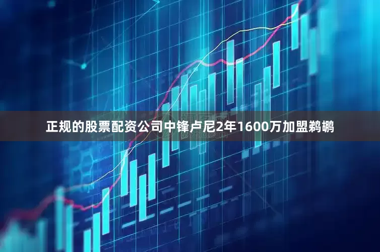 正规的股票配资公司中锋卢尼2年1600万加盟鹈鹕