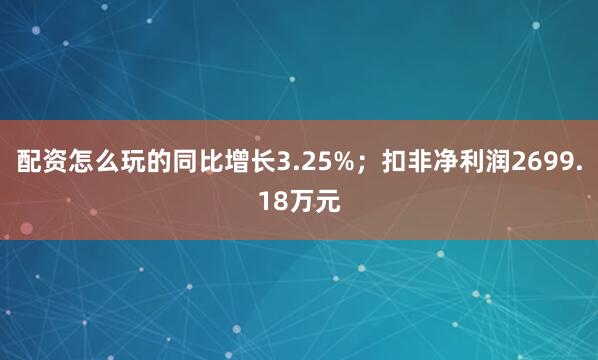 配资怎么玩的同比增长3.25%；扣非净利润2699.18万元