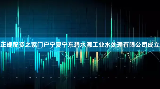 正规配资之家门户宁夏宁东碧水源工业水处理有限公司成立